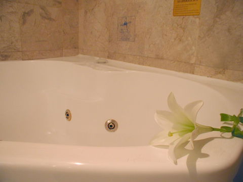 Novotel Sydney Brighton Beach - Accommodation Burleigh 11