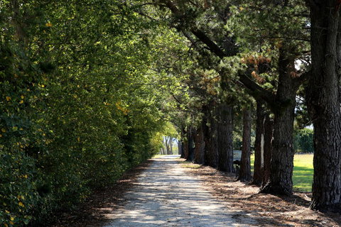 Terara Riverside Retreat - Accommodation Burleigh 26