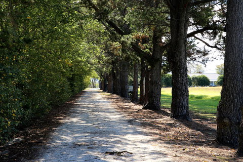 Terara Riverside Retreat - Accommodation Burleigh 30