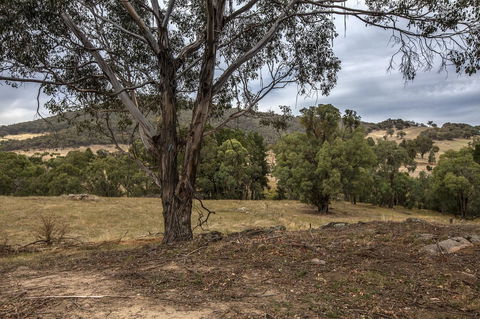 Pound Creek Gallery - Accommodation Burleigh 29