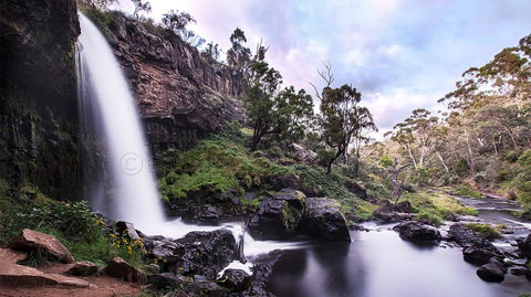 Pound Creek Gallery - Accommodation Burleigh 14