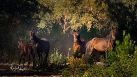 Pound Creek Gallery - Accommodation Burleigh 18