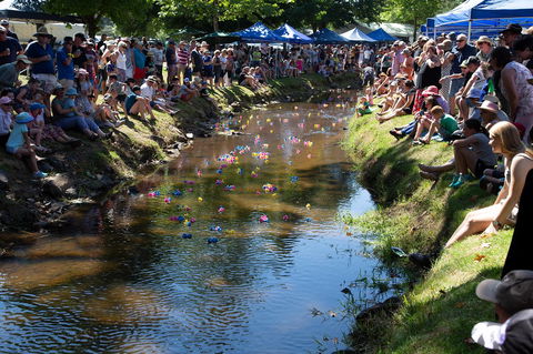 Pound Creek Gallery - Accommodation Burleigh 15