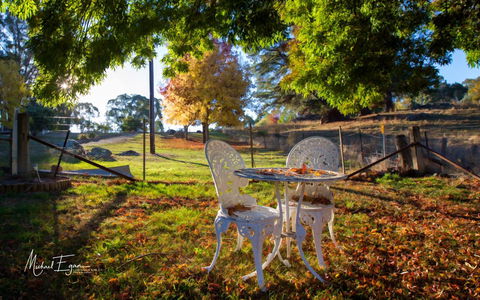 Pound Creek Gallery - Accommodation Burleigh 27