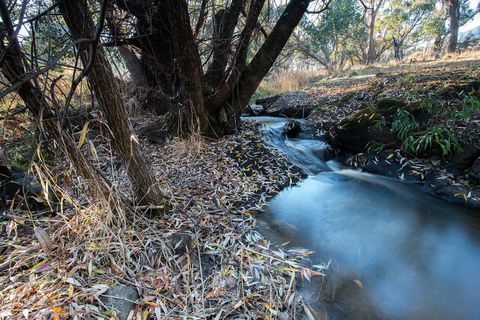 Pound Creek Gallery - Accommodation Burleigh 26