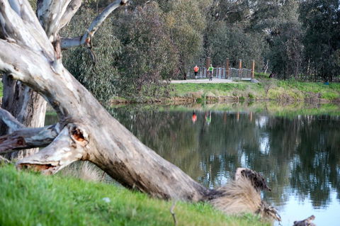 Mercure Albury - Accommodation Burleigh 15