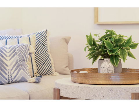 Huge Garden Apartment In The Heart Of Bondi Beach - Accommodation Burleigh 16