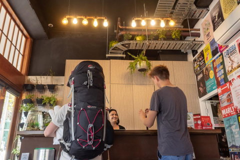 Big Backpackers Hostel - Accommodation Burleigh 6