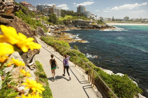 BONDI BEACH PRIME 1 Bedroom + Sunroom - Accommodation Burleigh 16
