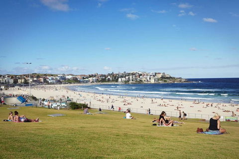 BONDI BEACH PRIME 1 Bedroom + Sunroom - Accommodation Burleigh 11
