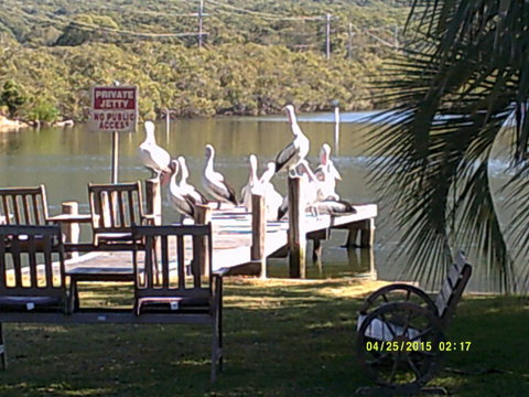 Pelican H2O One & Two Bedroom Apartments - Accommodation Burleigh 9