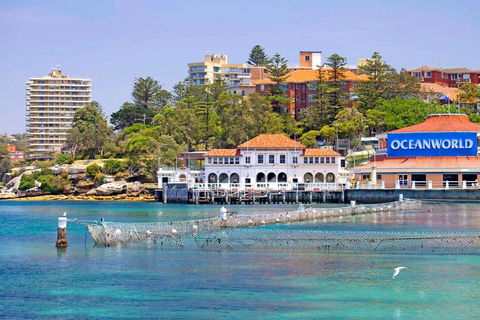 STUNNING MANLY VIEWS - Accommodation Burleigh 13