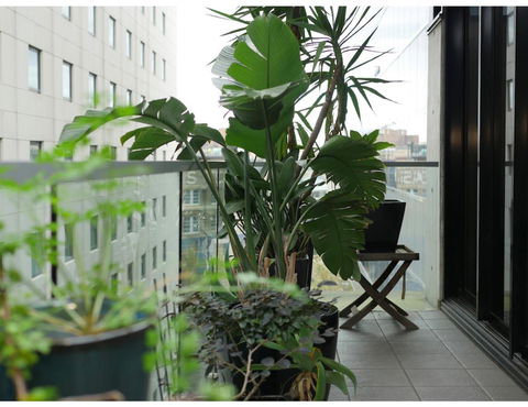 Urban Loft Close To Sydney Hot Spots - Accommodation Burleigh 11