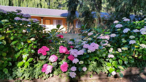 Moruya Motel - Accommodation Burleigh 28
