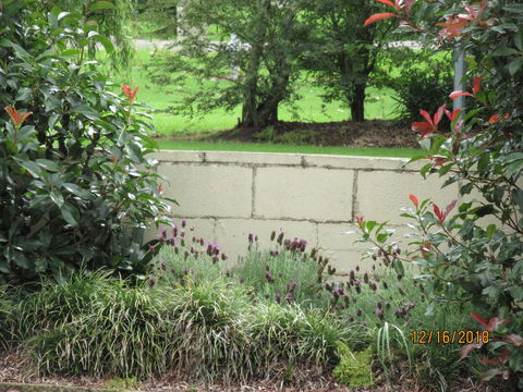Moruya Motel - Accommodation Burleigh 16