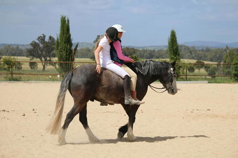 Belisi Farmstay Cottage - Accommodation Burleigh 28
