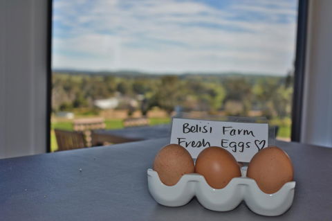 Belisi Farmstay Cottage - Accommodation Burleigh 20