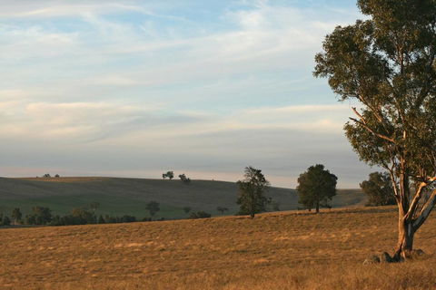 Belisi Farmstay Cottage - Accommodation Burleigh 33