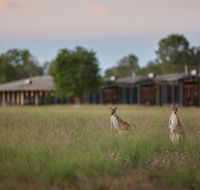 Wildman Wilderness Lodge - Accommodation Burleigh