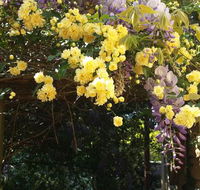 Bowral Road Bed and Breakfast - Accommodation Burleigh