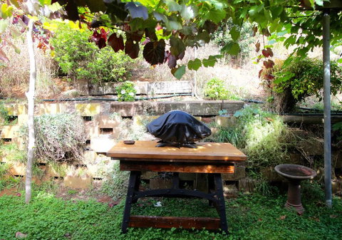 Bushy Park Retreat - Accommodation Burleigh 2