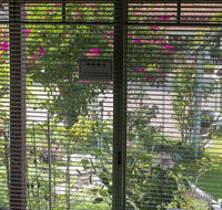 Busselton Marina Bed and Breakfast - Accommodation Burleigh