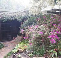 Charming country house close to Grafton - Accommodation Burleigh