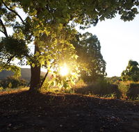 Clarendon Forest Retreat - Accommodation Burleigh