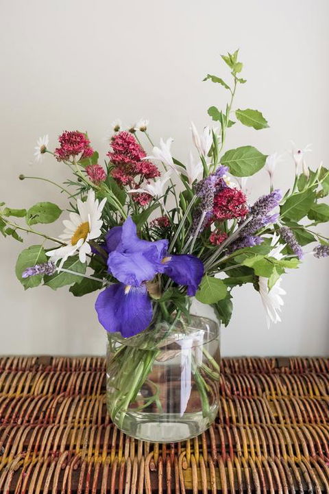 Clonmara Country House And Cottages - Accommodation Burleigh 3