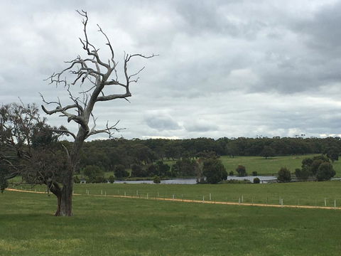 Country Farm House Close To Ballarat - Accommodation Burleigh 1