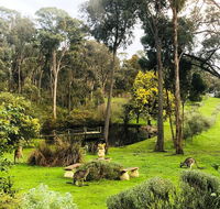 Countryside Retreat Intimate Studio Hepburn - Daylesford - Accommodation Burleigh