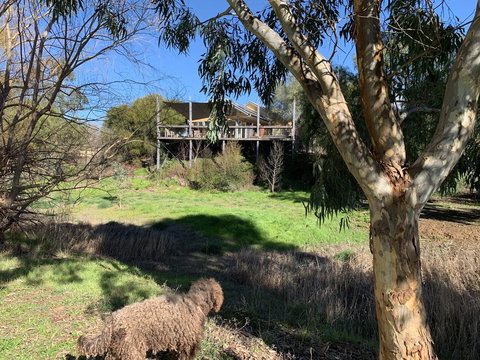 Cullen House - Accommodation Burleigh 1