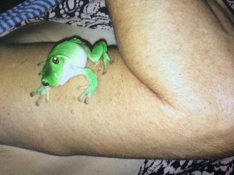 De Shed Shannonvale - Accommodation Burleigh 1