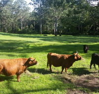 Dingley Dell - Accommodation Burleigh