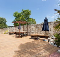 Dingo at White Gum Lodge - Accommodation Burleigh