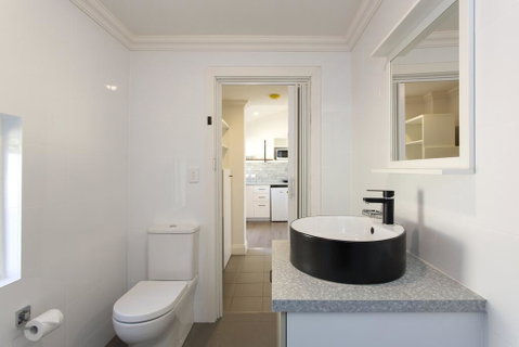 Dingo At White Gum Lodge - Accommodation Burleigh 3