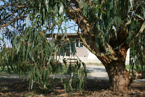 Driftwood Villas - Accommodation Burleigh 3