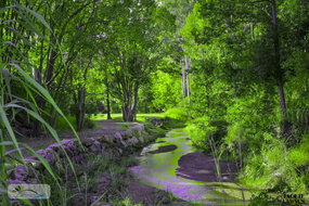 Book Esk Accommodation Accommodation Burleigh Accommodation Burleigh