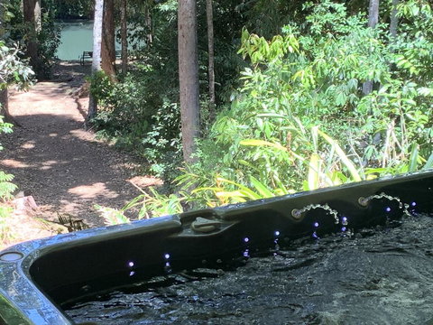 Figtree Getaway - Accommodation Burleigh 2