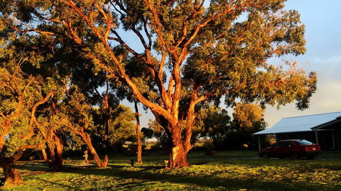 French Island Cottage - Accommodation Burleigh 1