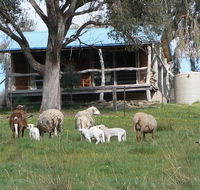 Gaddleen Grove Cottages - Accommodation Burleigh