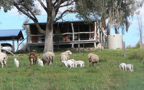 Gaddleen Grove Cottages - Accommodation Burleigh 0