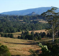 Grey Gum Lodge - Accommodation Burleigh