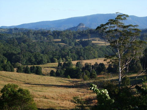 Grey Gum Lodge - Accommodation Burleigh 0