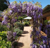 Gumtree House Montville - Accommodation Burleigh