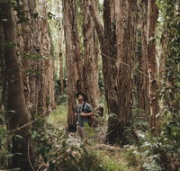 Habitat Noosa