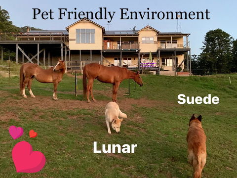 Heavenly Retreat B&B - Accommodation Burleigh 1
