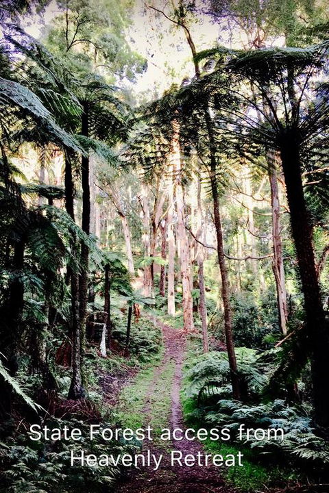 Heavenly Retreat B&B - Accommodation Burleigh 3
