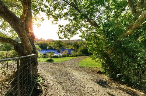 Jacaranda Cottages - Accommodation Burleigh 2