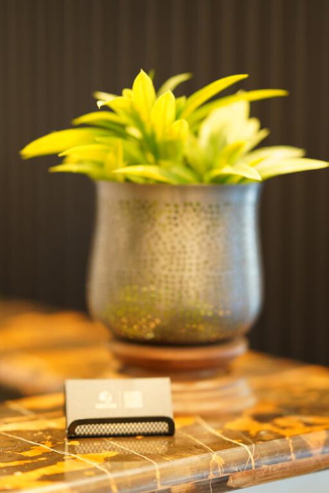 Jephson Hotel & Apartments - Accommodation Burleigh 3